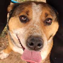 Thumbnail photo of Rodgers #1