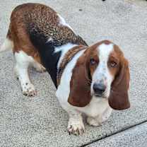 Thumbnail photo of Mars #1