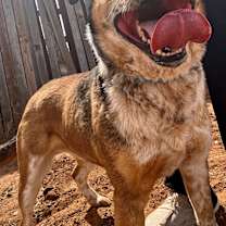 Thumbnail photo of Rodgers #2