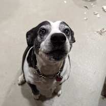 Thumbnail photo of Maggie Jane #1