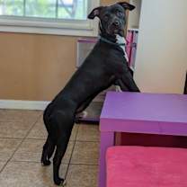 Thumbnail photo of Ink #3