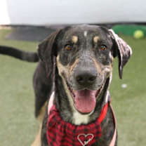 Thumbnail photo of Mama Minnow #1