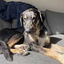 Thumbnail photo of Mama Minnow #2