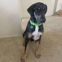 Thumbnail photo of Mama Minnow #4