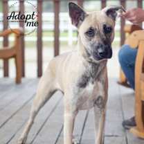 Thumbnail photo of Miracle #3