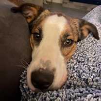 Thumbnail photo of Solo #3