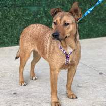 Thumbnail photo of RITA #1