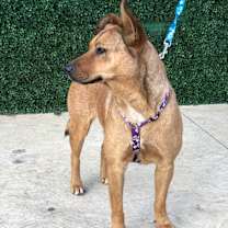 Thumbnail photo of RITA #2