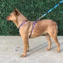 Thumbnail photo of RITA #3