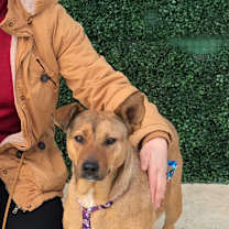 Thumbnail photo of RITA #4