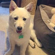 Thumbnail photo of Aiden #2