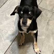 Thumbnail photo of Sebastian #2