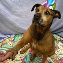 Thumbnail photo of Kay #1