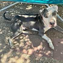 Thumbnail photo of GABE #2