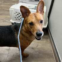 Thumbnail photo of Max #1