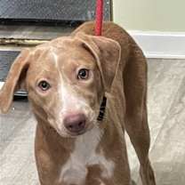 Thumbnail photo of Sandy #2