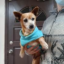 Thumbnail photo of Lando #2