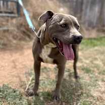 Thumbnail photo of Cash #2