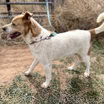 Thumbnail photo of Exit #3