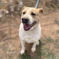 Thumbnail photo of Exit #4