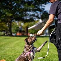 Thumbnail photo of Jenga #4