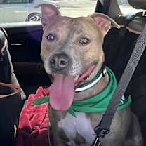 Thumbnail photo of Brenda #3