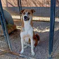 Thumbnail photo of Wynn #1