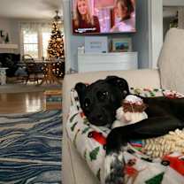 Thumbnail photo of Fiona #1