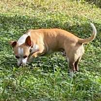 Thumbnail photo of Jimmy #1