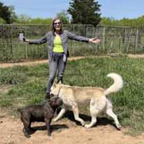 Thumbnail photo of Apollo tha' Dog! #3