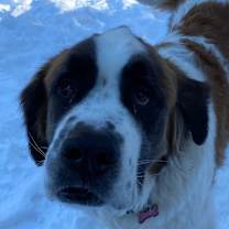 Thumbnail photo of Latigo #1