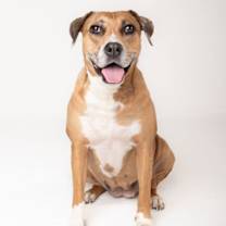 Thumbnail photo of Peaches - F #2