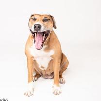 Thumbnail photo of Peaches - F #3