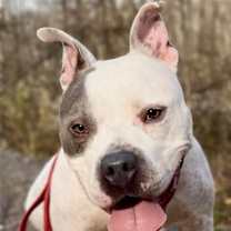 Thumbnail photo of Blu #2