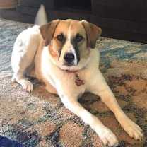 Thumbnail photo of Mia #1