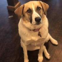 Thumbnail photo of Mia #3