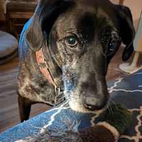 Thumbnail photo of Bryndle (21-087) #1