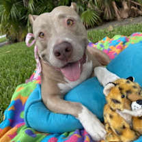 Thumbnail photo of Mawana #2