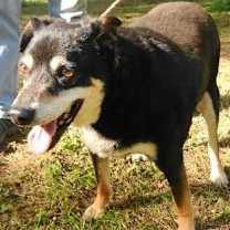 Thumbnail photo of Alvey #3