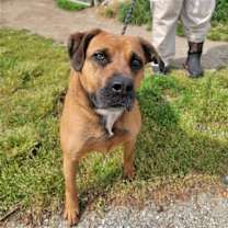 Thumbnail photo of Stella #4