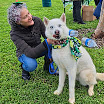 Thumbnail photo of NIAH #1