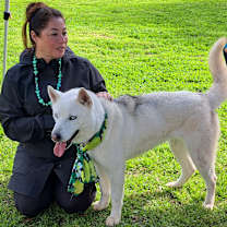 Thumbnail photo of NIAH #2