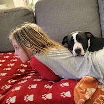 Thumbnail photo of Wedge #2