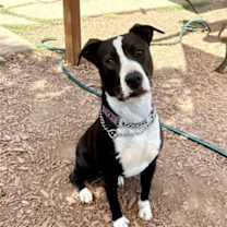 Thumbnail photo of Wedge #3