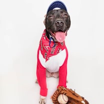 Thumbnail photo of RANDY #4