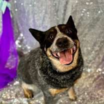 Thumbnail photo of Vera #1