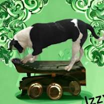 Thumbnail photo of Isabel #4