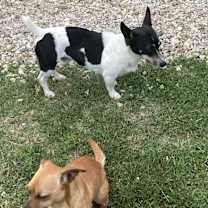 Thumbnail photo of Puddles #3