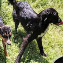 Thumbnail photo of Buddah #1