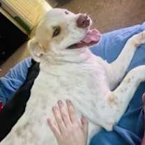 Thumbnail photo of Murdock #2